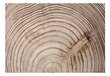 Foto tapete - Wood grain цена и информация | Fototapetes | 220.lv