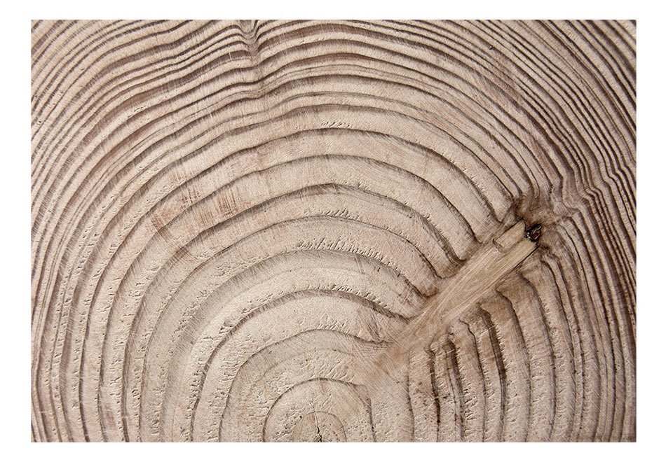 Foto tapete - Wood grain cena un informācija | Fototapetes | 220.lv