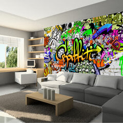 Foto tapete - Graffiti on the Wall цена и информация | Фотообои | 220.lv