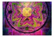 Foto tapete - Mandala: Pink Expression cena un informācija | Fototapetes | 220.lv