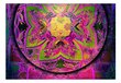 Foto tapete - Mandala: Pink Expression cena un informācija | Fototapetes | 220.lv