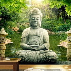 Foto tapete - Buddha's garden цена и информация | Фотообои | 220.lv