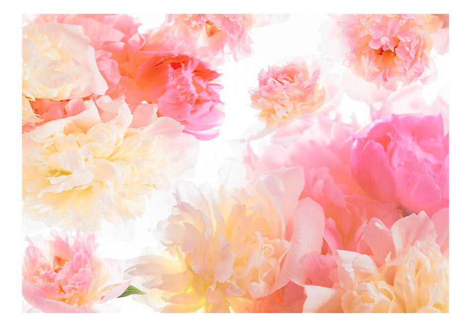 Foto tapete - Pastel peonies цена и информация | Fototapetes | 220.lv