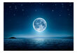 Foto tapete - Moonlit night cena un informācija | Fototapetes | 220.lv