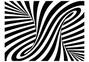 Foto tapete - optical art: black and white цена и информация | Фотообои | 220.lv