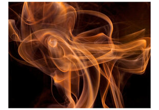Foto tapete - Smoke art cena un informācija | Fototapetes | 220.lv