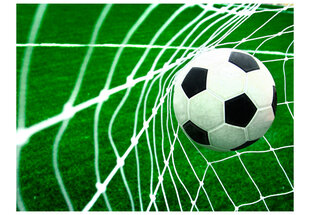 Foto tapete - Goal! cena un informācija | Fototapetes | 220.lv