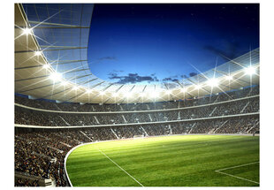 Foto tapete - National stadium cena un informācija | Fototapetes | 220.lv
