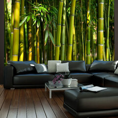 Foto tapete - Asian bamboo forest цена и информация | Фотообои | 220.lv