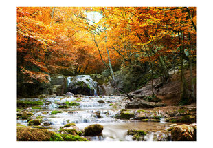 Foto tapete - autumn - waterfall cena un informācija | Fototapetes | 220.lv