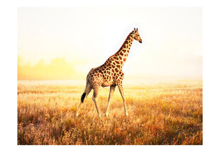Foto tapete - giraffe - walk cena un informācija | Fototapetes | 220.lv