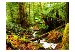Foto tapete - Rainforest цена и информация | Фотообои | 220.lv
