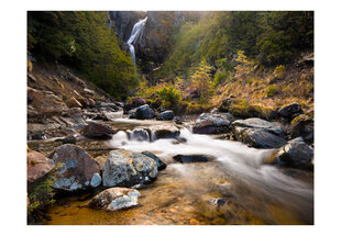 Foto tapete - Ohakune - Waterfalls in New Zealand cena un informācija | Fototapetes | 220.lv