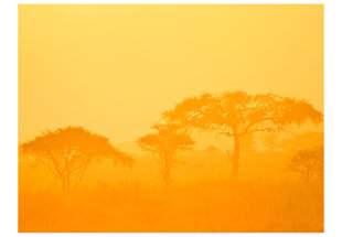 Foto tapete - Orange savanna cena un informācija | Fototapetes | 220.lv