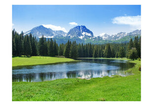 Foto tapete - National Park Durmitor, Montenegro cena un informācija | Fototapetes | 220.lv