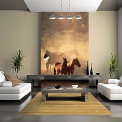 Foto tapete - Wild horses of the steppe цена и информация | Фотообои | 220.lv