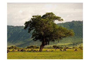 Foto tapete - In a crater of Ngoro ngoro цена и информация | Фотообои | 220.lv