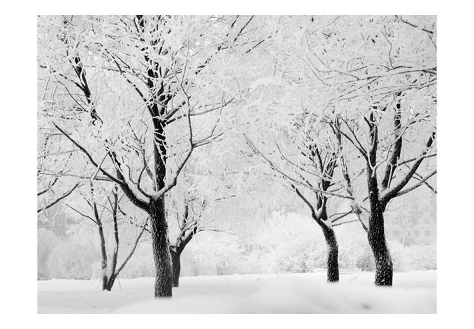 Foto tapete - Trees - winter landscape цена и информация | Fototapetes | 220.lv
