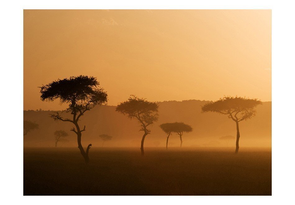 Foto tapete - Massai Mara cena un informācija | Fototapetes | 220.lv