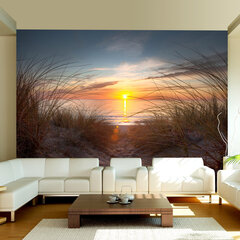Foto tapete - Sunset over the Atlantic Ocean cena un informācija | Fototapetes | 220.lv