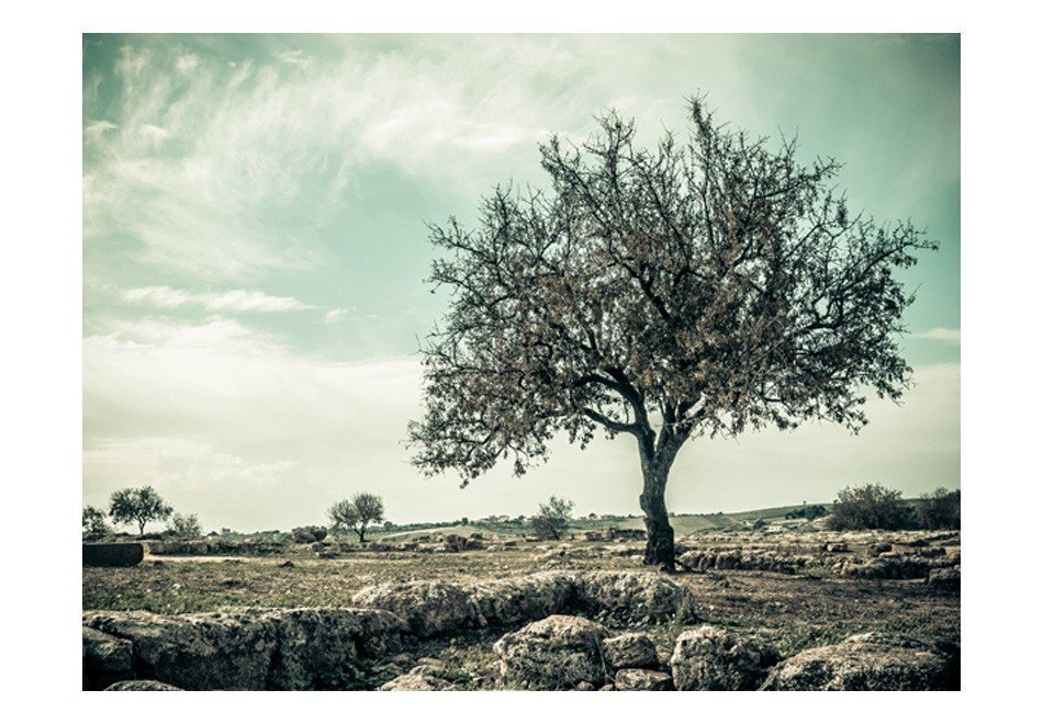 Foto tapete - tree - vintage cena un informācija | Fototapetes | 220.lv