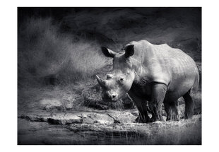 Foto tapete - Rhinoceros lost in reverie цена и информация | Фотообои | 220.lv