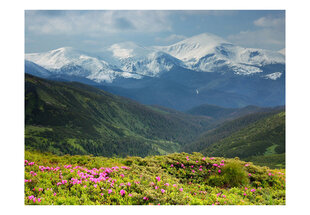 Foto tapete - Spring mountain landscape cena un informācija | Fototapetes | 220.lv