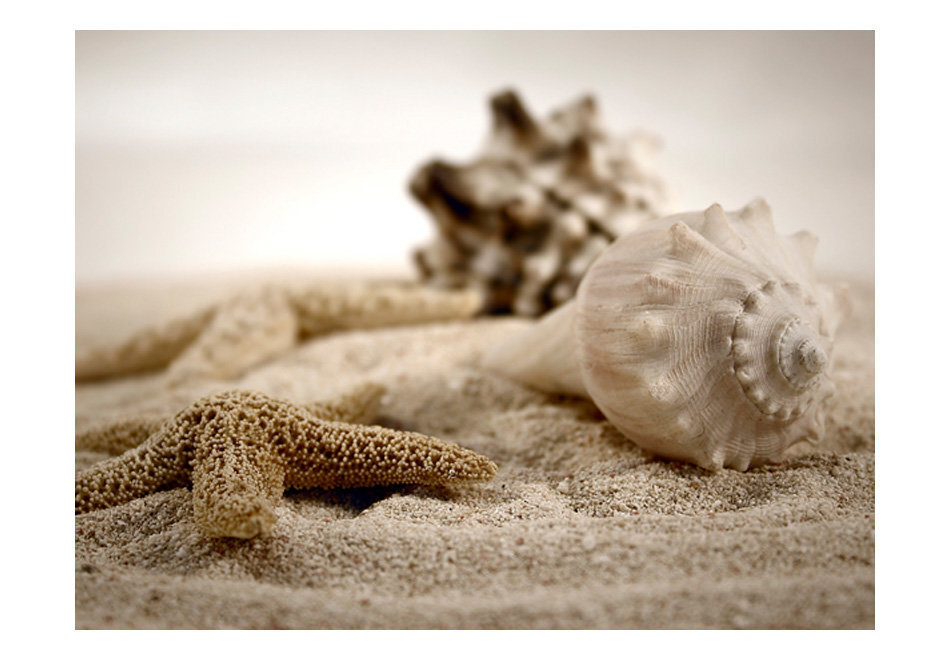 Foto tapete - Beach and shell cena un informācija | Fototapetes | 220.lv