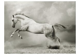 Foto tapete - Wild Stallion цена и информация | Фотообои | 220.lv