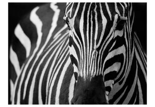 Foto tapete - White with black stripes цена и информация | Фотообои | 220.lv