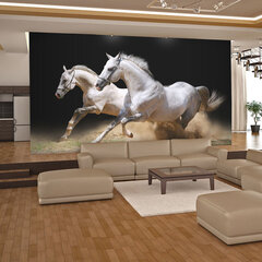 Foto tapete - Galloping horses on the sand cena un informācija | Fototapetes | 220.lv