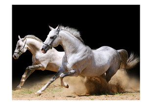 Foto tapete - Galloping horses on the sand cena un informācija | Fototapetes | 220.lv