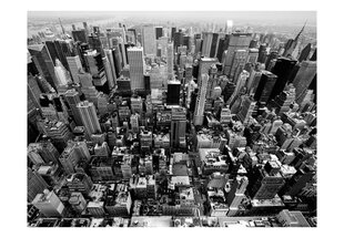 Foto tapete - USA, New York: black and white цена и информация | Фотообои | 220.lv