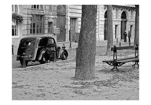 Foto tapete - Peaceful French street cena un informācija | Fototapetes | 220.lv