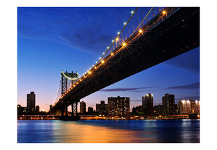 Foto tapete - Manhattan Bridge illuminated at night цена и информация | Фотообои | 220.lv
