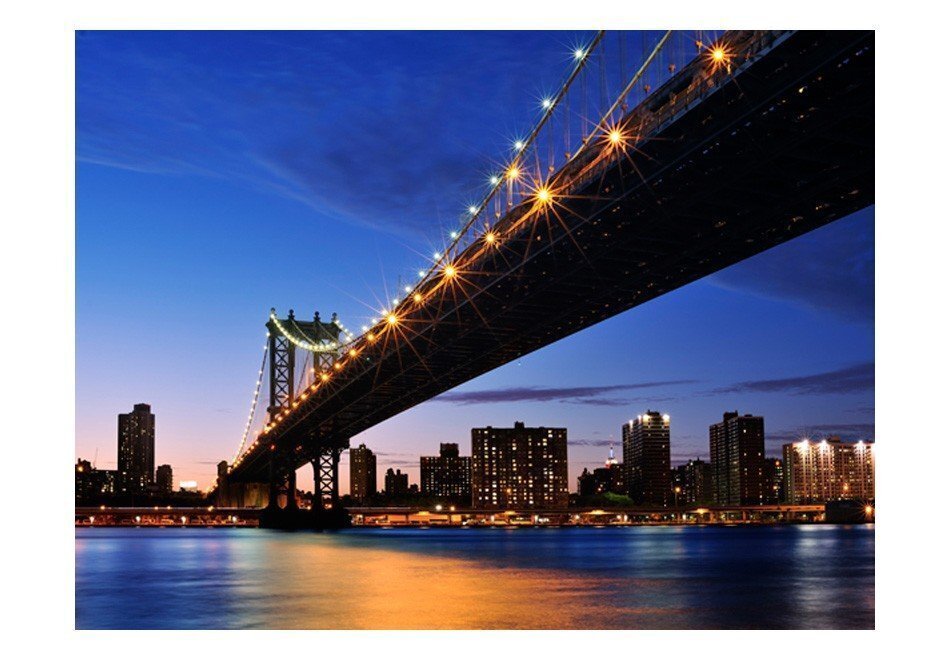 Foto tapete - Manhattan Bridge illuminated at night цена и информация | Fototapetes | 220.lv