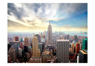 Foto tapete - View on Empire State Building - NYC цена и информация | Фотообои | 220.lv