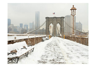 Foto tapete - Snow-covered bridge in New York цена и информация | Фотообои | 220.lv