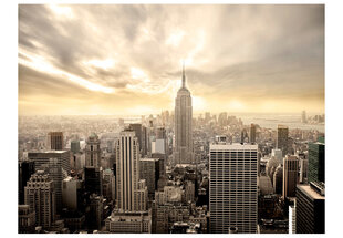 Foto tapete - New York - Manhattan at dawn цена и информация | Фотообои | 220.lv