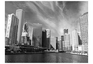 Foto tapete - Chicago skyline (black and white) cena un informācija | Fototapetes | 220.lv