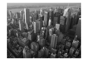 Foto tapete - New York: skyscrapers (bird's eye view) cena un informācija | Fototapetes | 220.lv