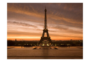 Foto tapete - Eiffel tower at dawn цена и информация | Фотообои | 220.lv