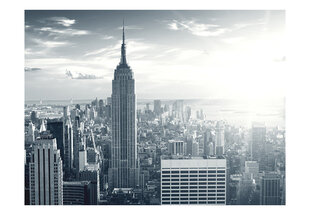 Foto tapete - Amazing view to New York Manhattan at sunrise cena un informācija | Fototapetes | 220.lv