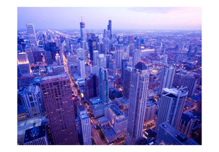 Foto tapete - Timid lights at dusk in Chicago цена и информация | Фотообои | 220.lv