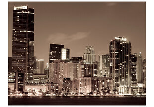 Foto tapete - Night life in Miami цена и информация | Фотообои | 220.lv