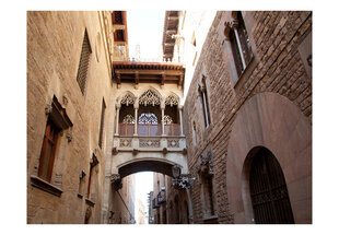 Foto tapete - Barcelona Palau generalitat in gothic Barrio цена и информация | Фотообои | 220.lv