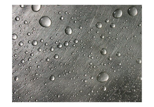 Foto tapete - Steel surface with water drops cena un informācija | Fototapetes | 220.lv