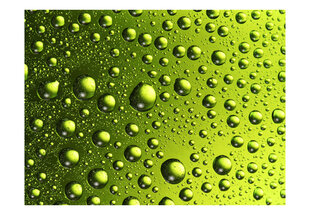Foto tapete - Water drops on the bottle of beer cena un informācija | Fototapetes | 220.lv