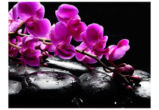 Foto tapete - Relaxing moment: orchid flower and stones cena un informācija | Fototapetes | 220.lv