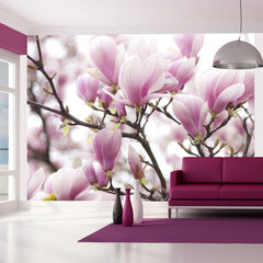 Foto tapete - Magnolia bloosom cena un informācija | Fototapetes | 220.lv